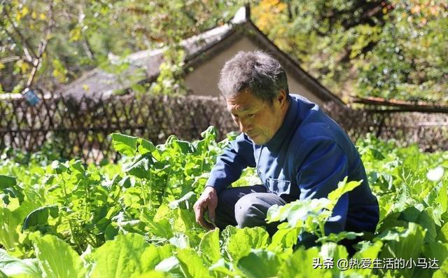 花4000元请的保姆却要满足她一堆要求大爷哭诉：谁才是雇主？(图2)